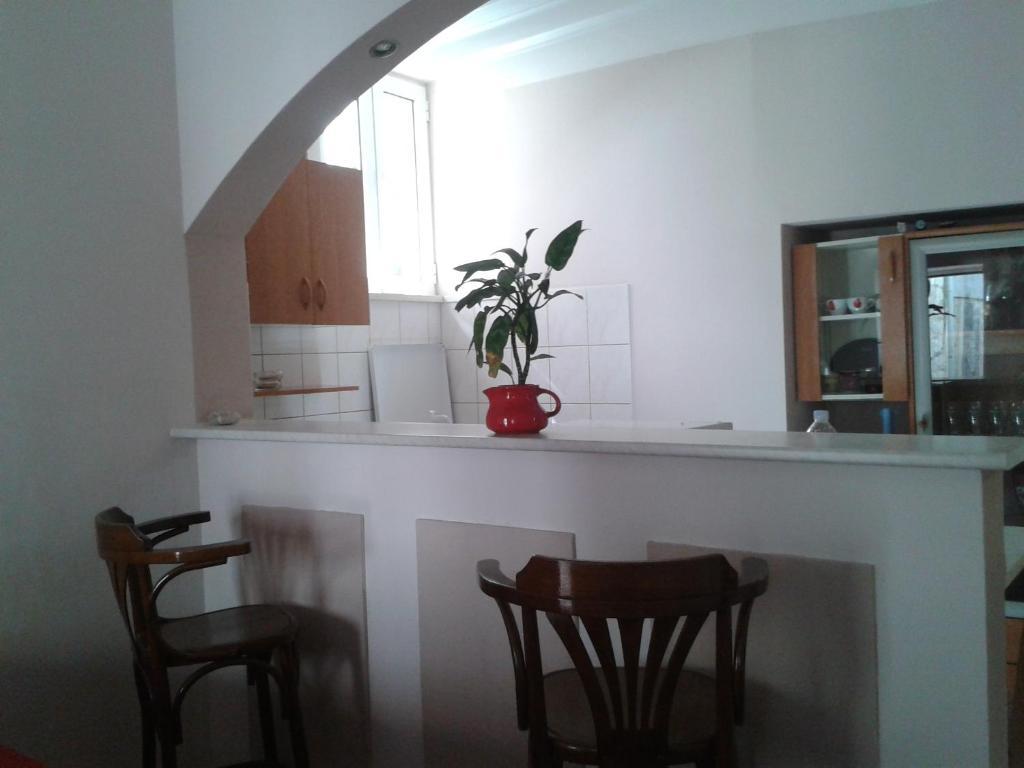 דוברובניק Old Harbour City Center Apartment מראה חיצוני תמונה